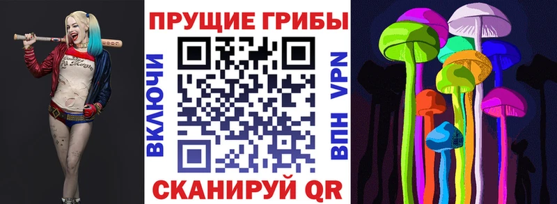 Галлюциногенные грибы MAGIC MUSHROOMS Астрахань